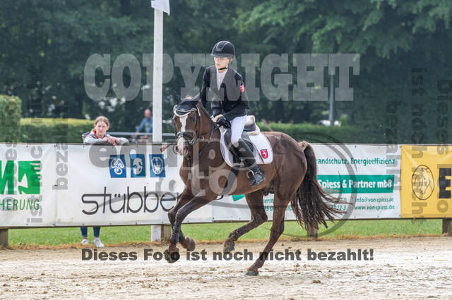 Goldene Schärpe 2021 - Ponys