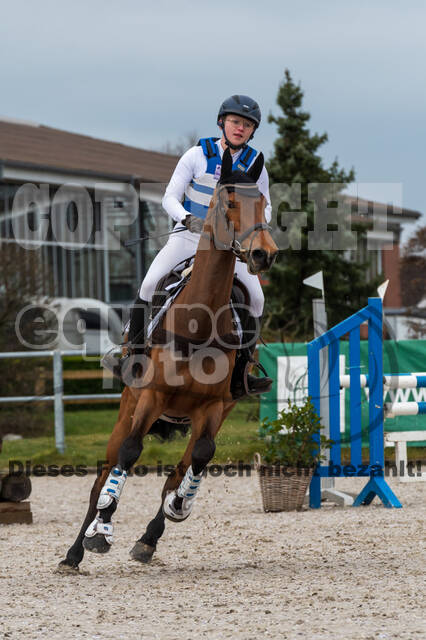 Eventing im Pferdesportzentrum Rheinland (Late Entry 14.03.2022)