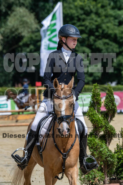Goldene Schärpe 2021 - Ponys