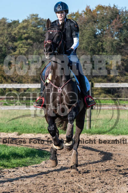 Vielseitigkeitslehrgang mit Jürg Kurbel (9.+10.11.2019)