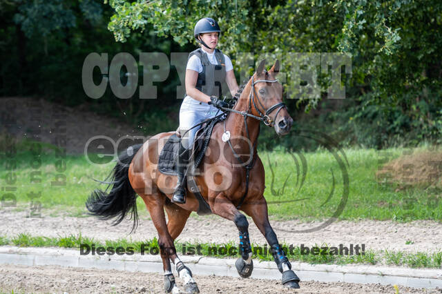 Late-Entry-Vielseitigkeit Langenfeld (06.+07.07.2020)