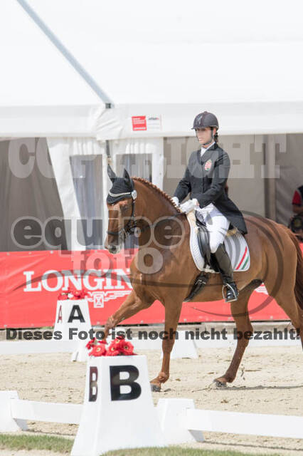 FEI European Championship Eventing 2017