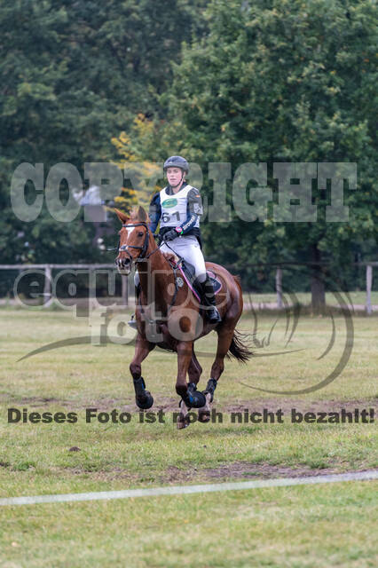 Deutsche Meisterschaft Vielseitigkeit (Luhmühlen)