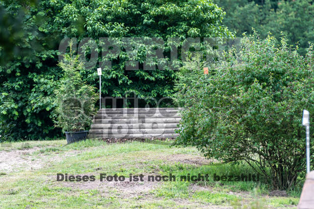 Goldene Schärpe 2021 - Ponys