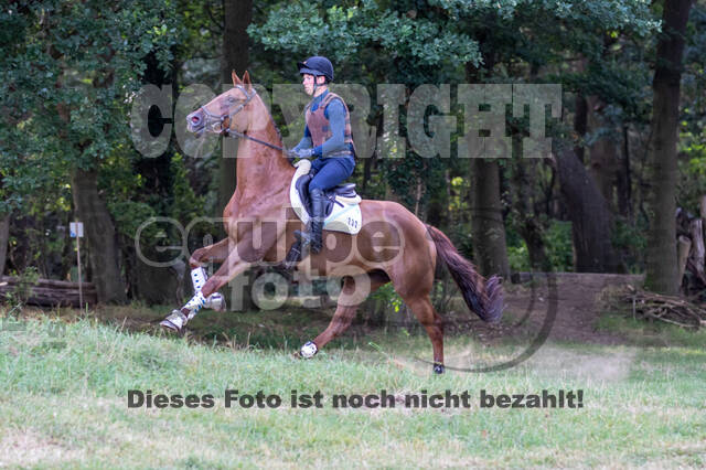 Late-Entry Vielseitigkeit Hamminkeln/Wesel (01.+02.08.2020)