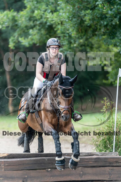 Late-Entry-Vielseitigkeit Langenfeld (11.+13./14.06.2020)