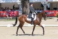 FEI European Championship Eventing 2017