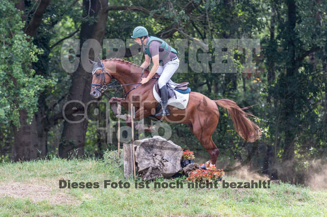 Late-Entry Vielseitigkeit Hamminkeln/Wesel (01.+02.08.2020)
