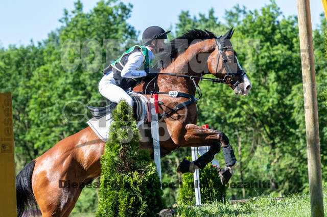 Westerstede Horse Trials (10.-13.06.2021)