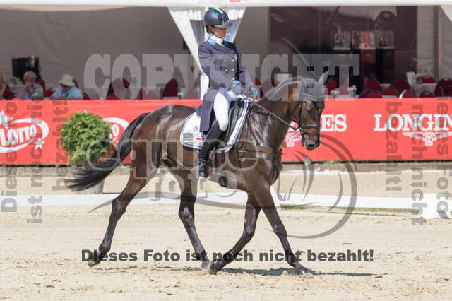 FEI European Championship
