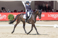 FEI European Championship