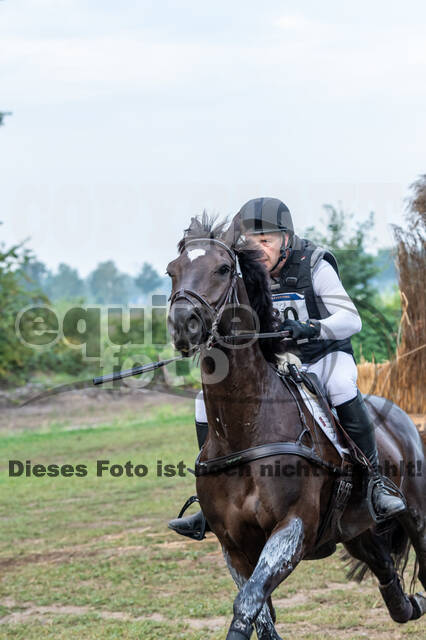 De Peelbergen (August 2020)