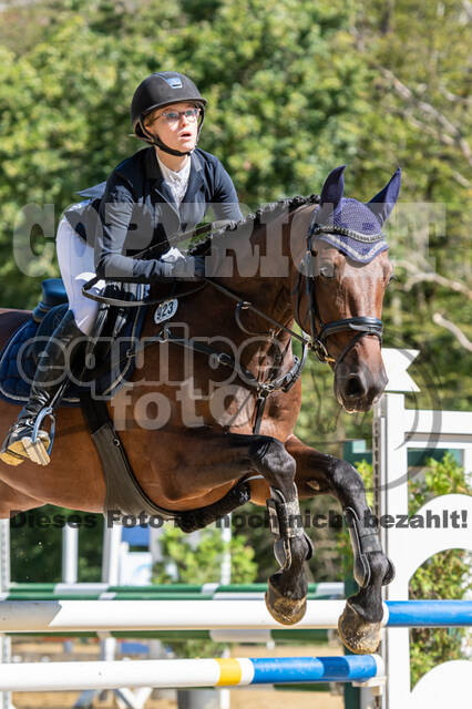 RFV Dinslaken-Hiesfeld (Herbstturnier)