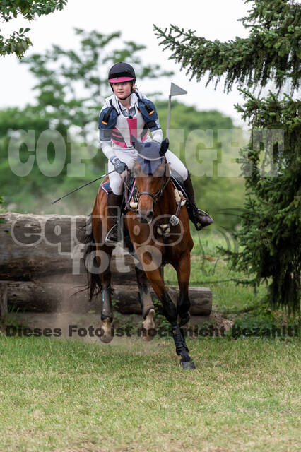 Late-Entry-Vielseitigkeit Langenfeld (11.+13./14.06.2020)
