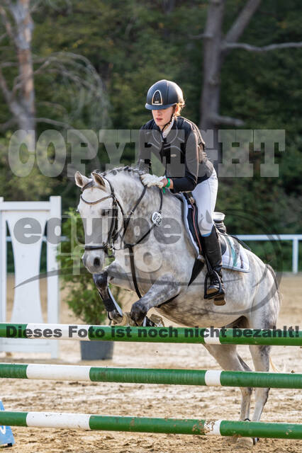 RFV Dinslaken-Hiesfeld (Herbstturnier)
