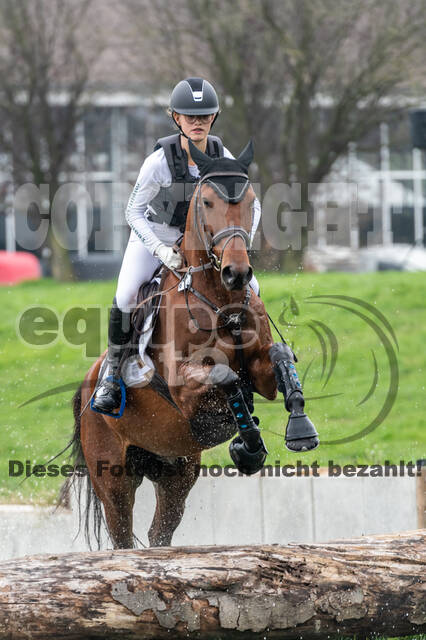 Goldene Schärpe 2020 - Pferde