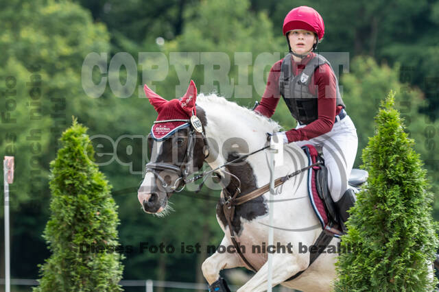 Goldene Schärpe 2021 - Ponys