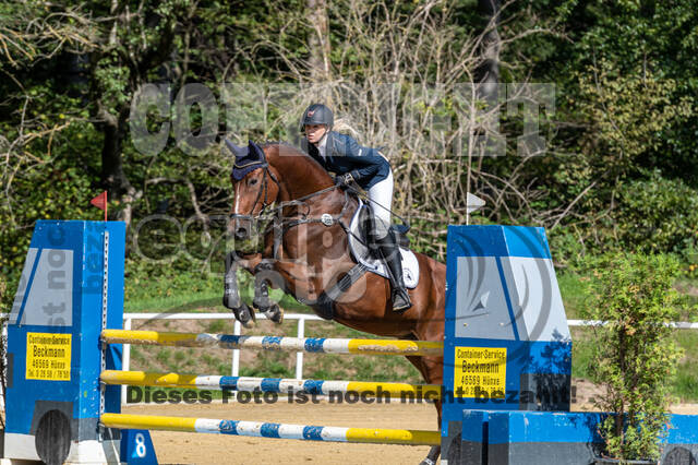 RFV Dinslaken-Hiesfeld (Herbstturnier)