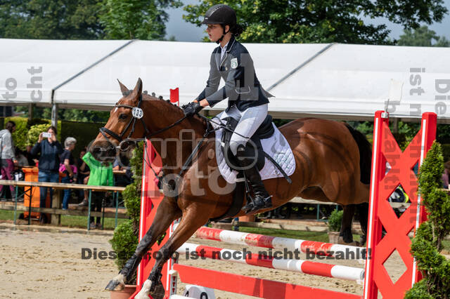 Goldene Schärpe 2021 - Ponys