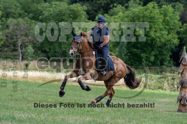 Bonn-Rodderberg Late-Entry-Vielseitigkeit (30.06.2020)