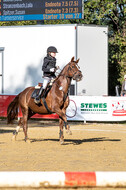 RFV Dinslaken-Hiesfeld (Herbstturnier)