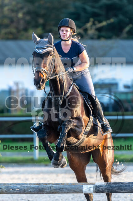 IGV Lehrgang der Sieger der Cups mit Frank Ostholt