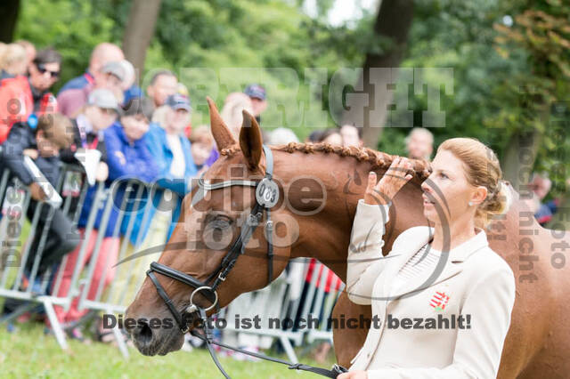 FEI European Championship Eventing 2017