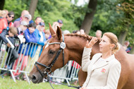 FEI European Championship Eventing 2017