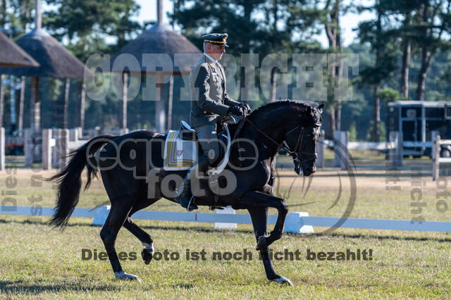 Kronenberg - De Peelbergen (August 2020)