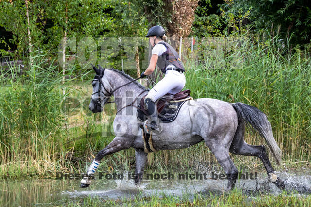 Late-Entry Vielseitigkeit Hamminkeln/Wesel (01.+02.08.2020)