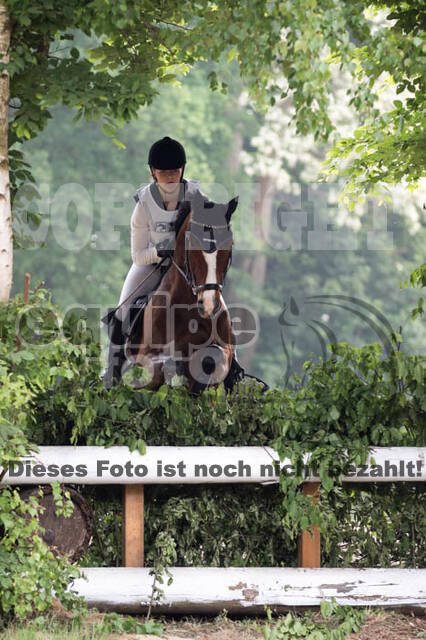 Vielseitigkeitsturnier ZRFV von Lützow Hamminkeln