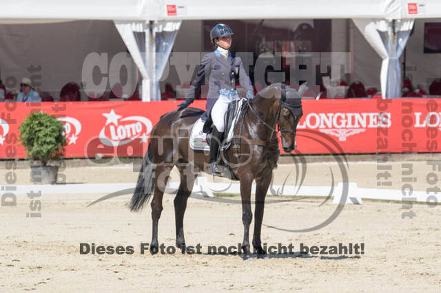 FEI European Championship