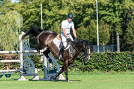 Kronenberg - De Peelbergen (August 2020)