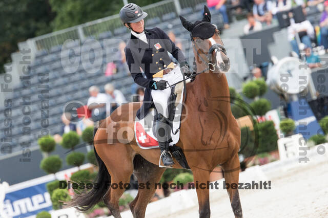 FEI European Championship Eventing 2019