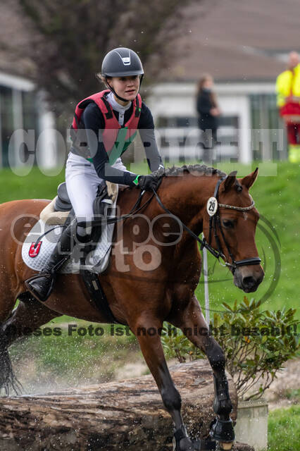 Goldene Schärpe 2020 - Pferde