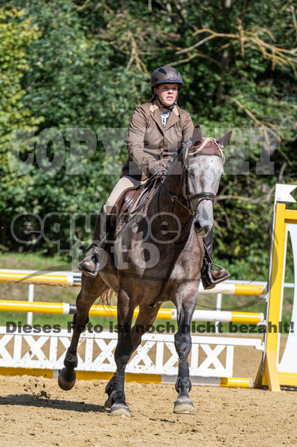 RFV Dinslaken-Hiesfeld (Herbstturnier)