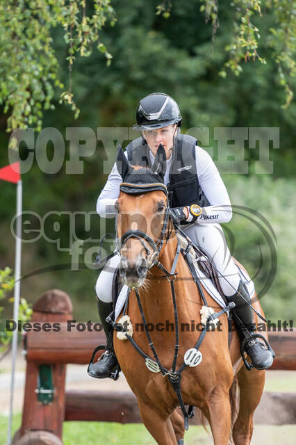 Late-Entry-Vielseitigkeit Langenfeld (11.+13./14.06.2020)