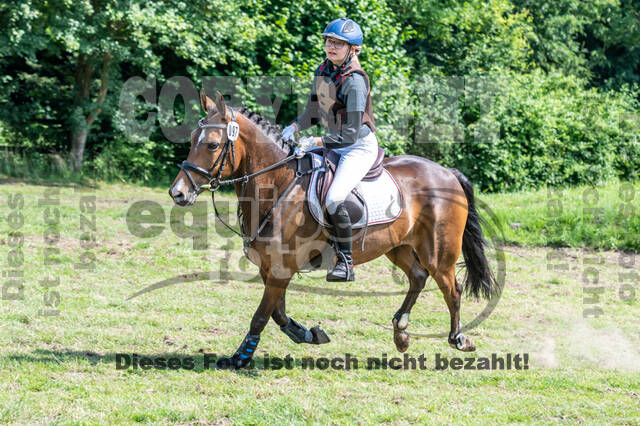 Goldene Schärpe 2021 - Ponys