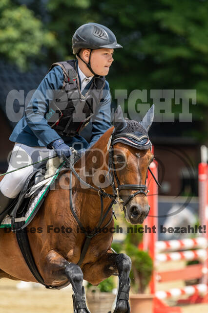 Goldene Schärpe 2021 - Ponys