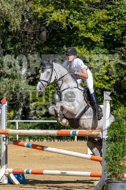 RFV Dinslaken-Hiesfeld (Herbstturnier)
