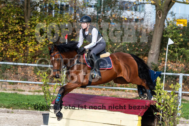IGV Lehrgang der Sieger der Cups mit Frank Ostholt