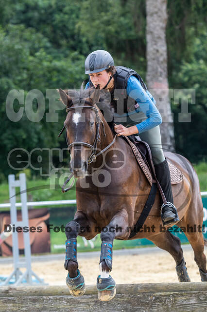 Hunter Geländetraining 10.07.2021 (Sonsbeck)