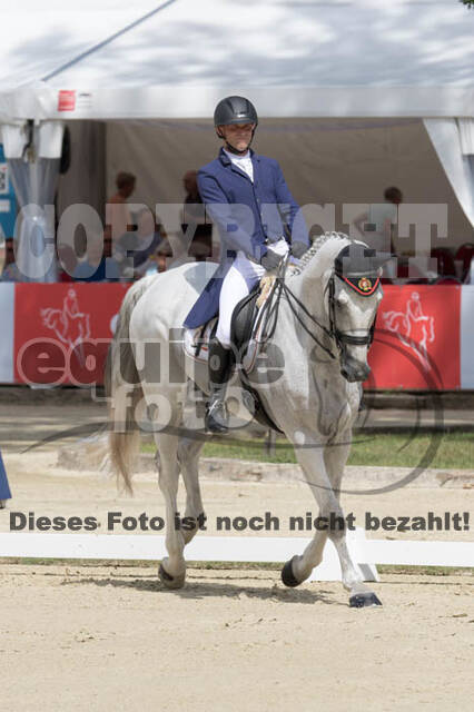 FEI European Championship Eventing 2017