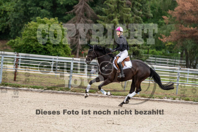 Late-Entry-Vielseitigkeit Langenfeld (11.+13./14.06.2020)