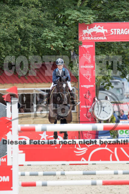 FEI European Championship