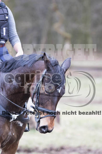 Geländetrainings RSV St. Hubertus Wesel Obrighoven