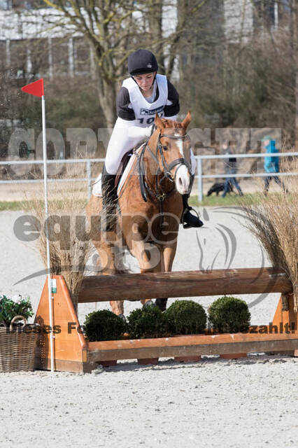 Eventing Langenfeld 2018