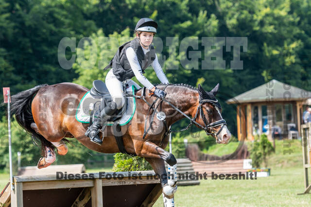 Goldene Schärpe 2021 - Ponys