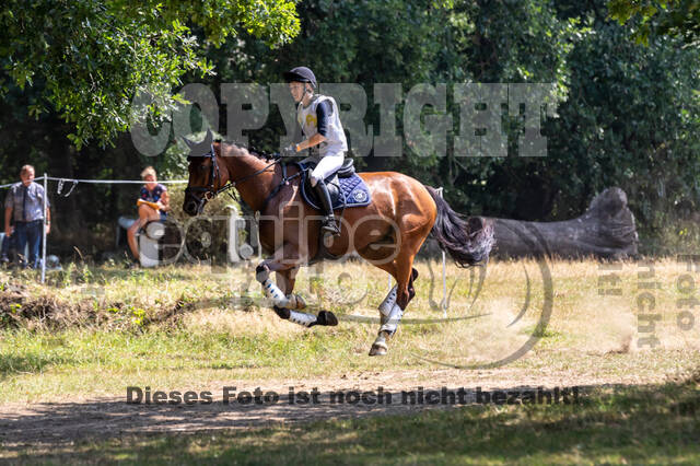Late-Entry Vielseitigkeit Hamminkeln/Wesel (01.+02.08.2020)