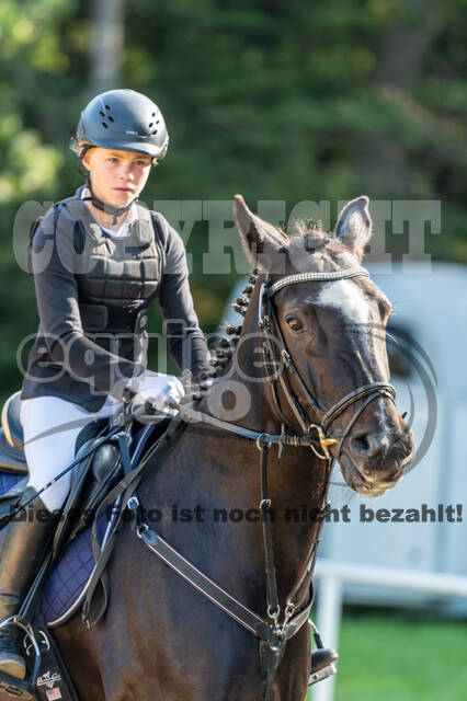 RFV Dinslaken-Hiesfeld (Herbstturnier)